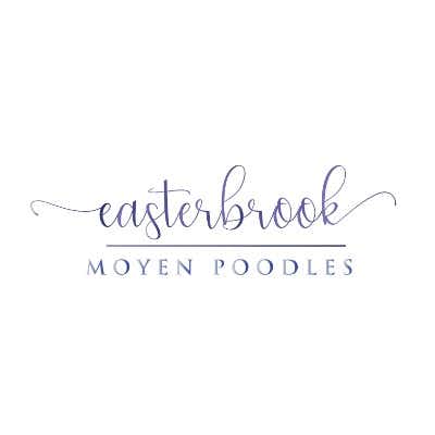 Easterbrook Moyen Poodles